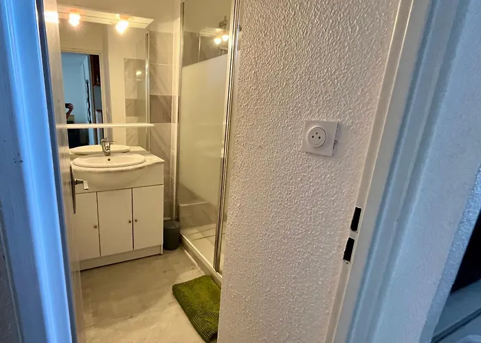 Ipanema Piscine, 4 Couchages アパート アグド