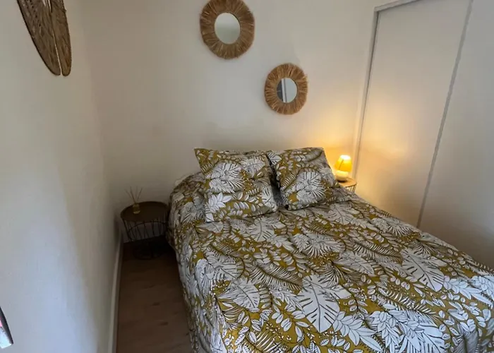 Ipanema Piscine, 4 Couchages Appartamento Agde